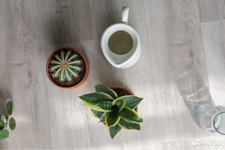 Кварцевый ламинат