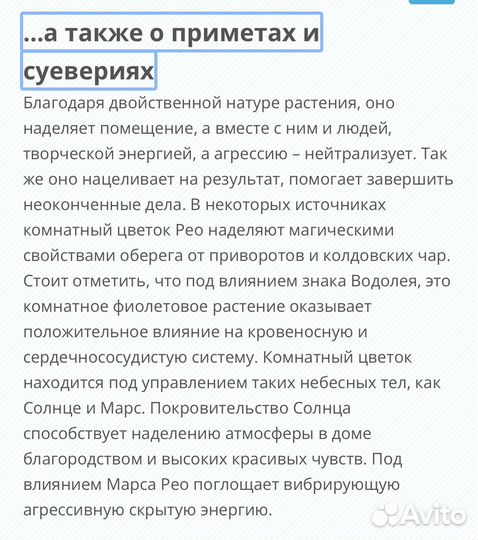 Рео разноцветное