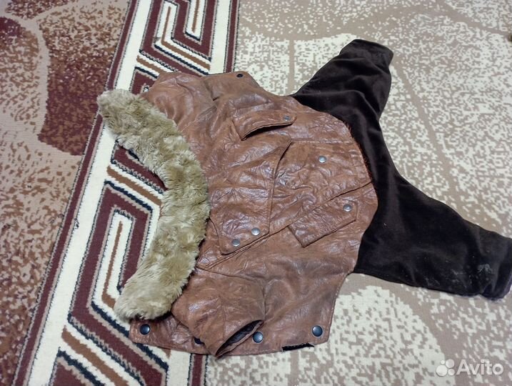 Одежда для маленьких пород собак