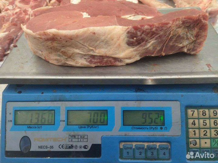 Продам мясо говядина