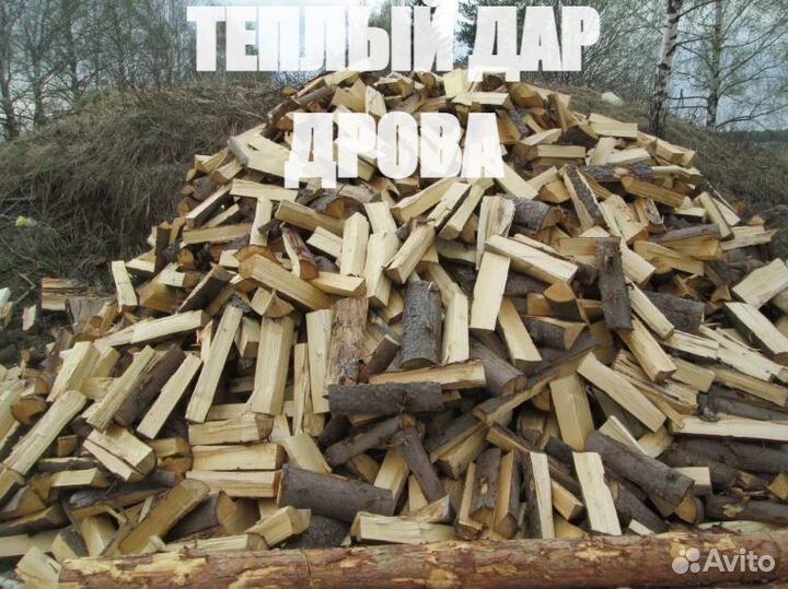 Дрова береза колотые