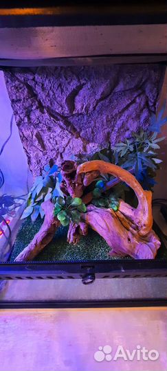 Террариум из силикат. стекла Exo Terra, 45х4545