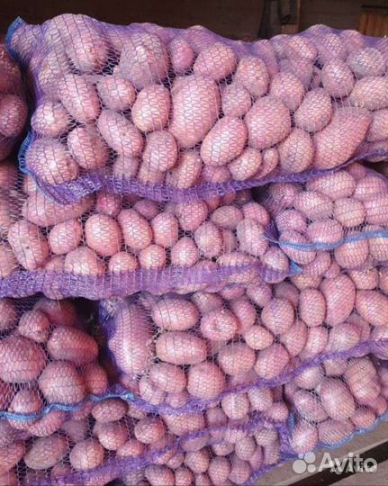 Картофель С доставкой