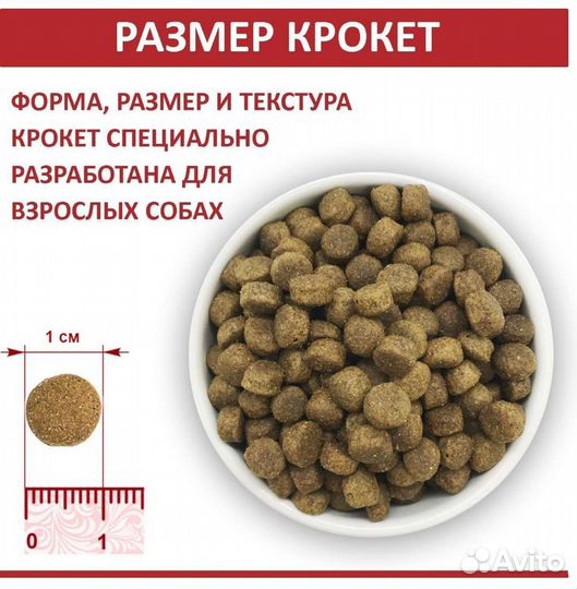 Корм для собак