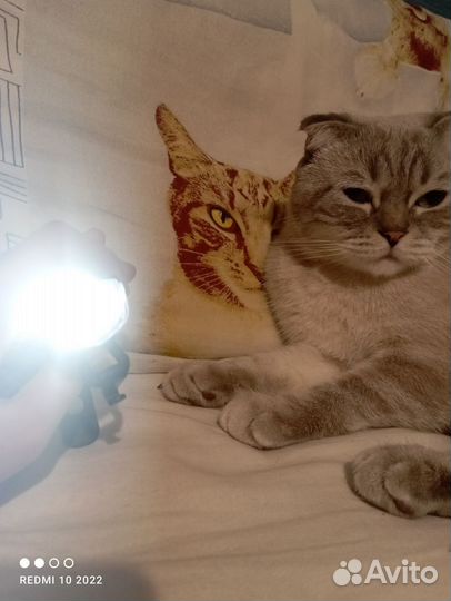 Фонарик для велосипеда,и не только