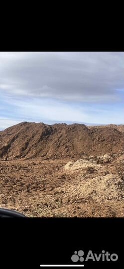 Конский навоз доставка