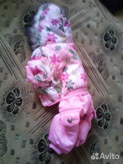 Одежда для собак