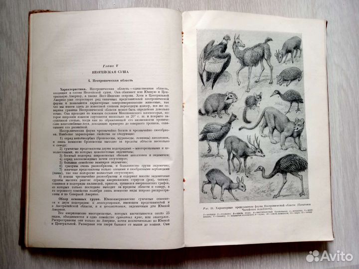 Бобринский 