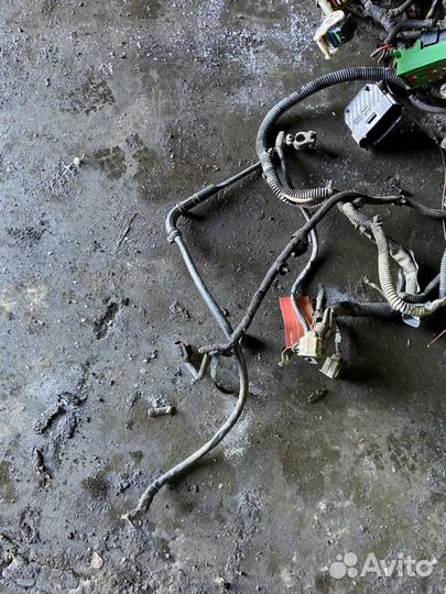 Проводка двс Ford Focus 2 (DB) 2008-2011г DB