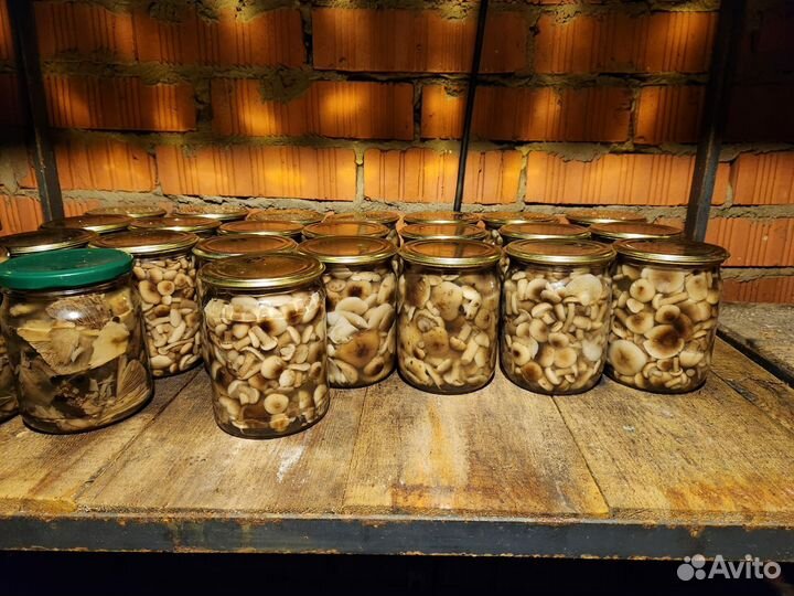 Опята маринованные