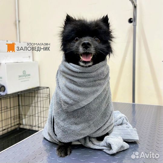 Cтpижкa собак/ Груминг по породе/ Экспресс-линька