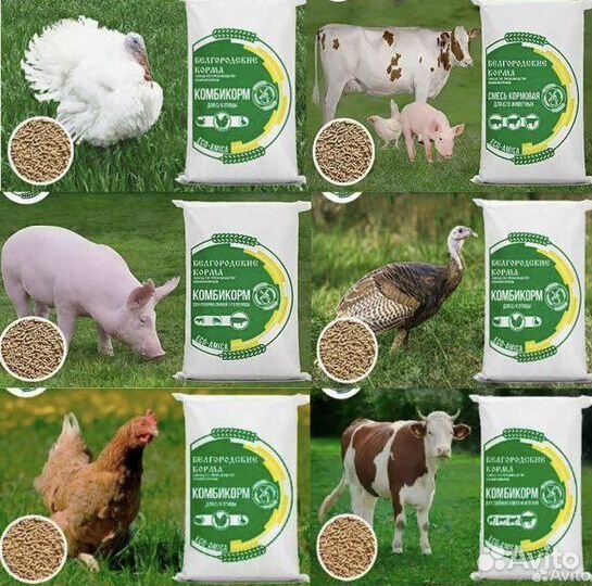 Комбикорм