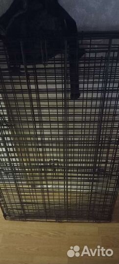 Клетка для собак бу