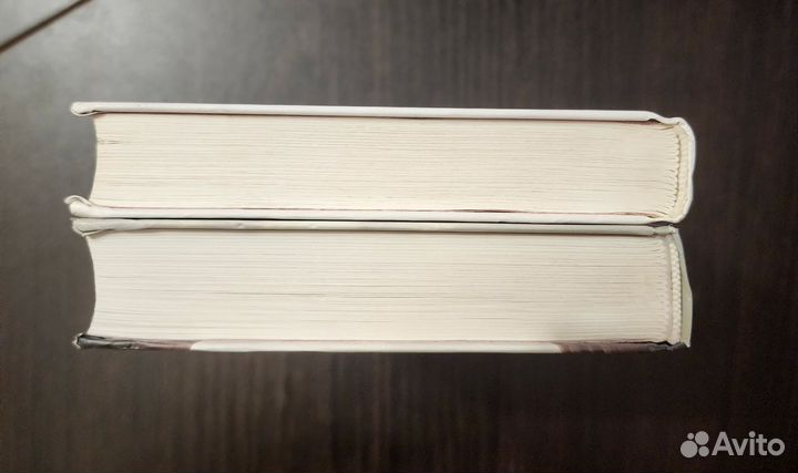 Книги Assassin's Creed Братство, Ренессанс