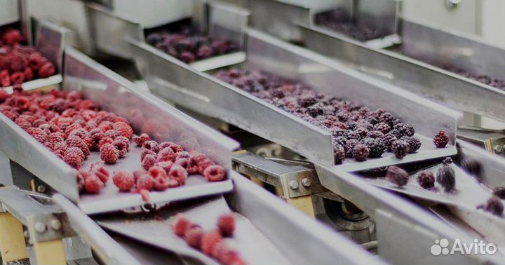 Услуги по шоковой заморозке продуктов