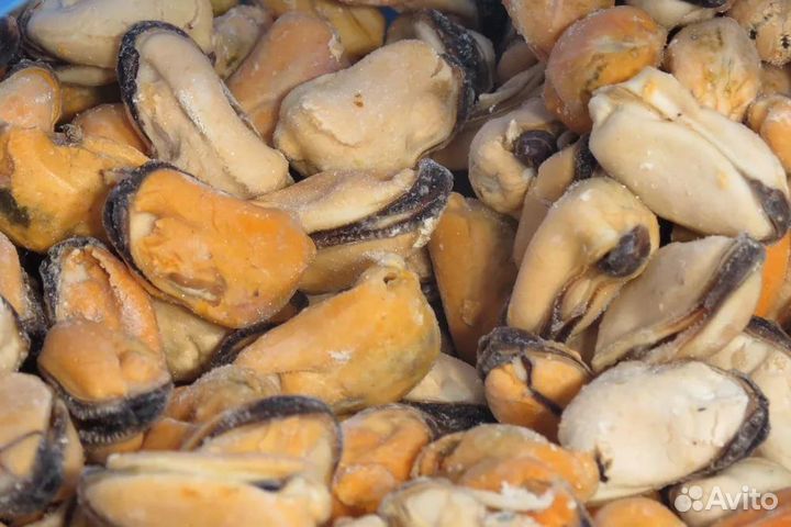 Мидия филе опт/розница
