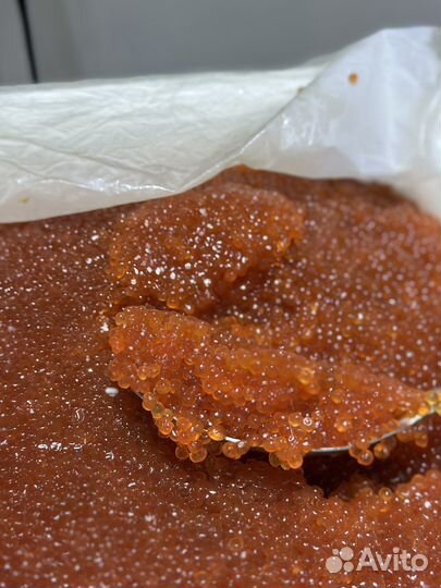 Икра горбуши