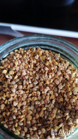 Обножка (пыльца) цветочная