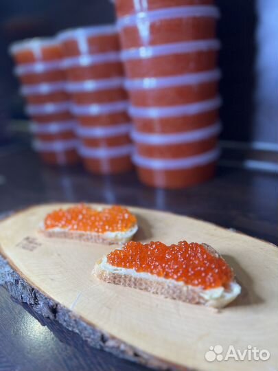 Икра Горбуши 2023