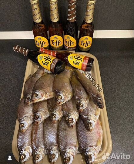 Крупная Вобла