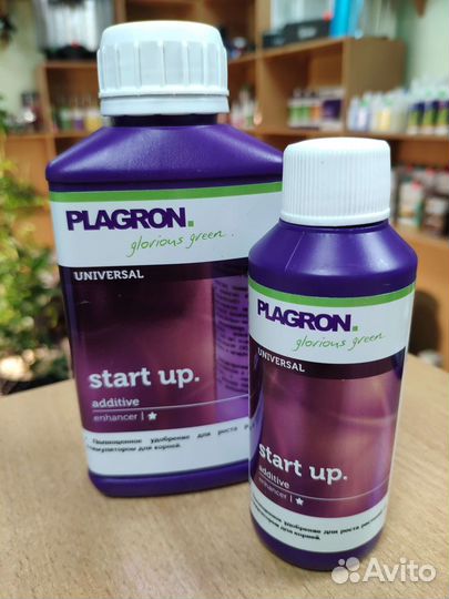 Стимулятор plagron Start Up