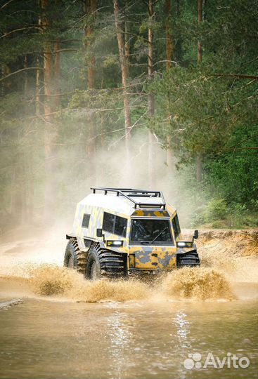 Вездеход, болотоход, снегоход, снегоболотоход