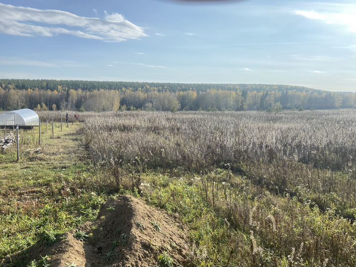 Участок 10 сот. (СНТ, ДНП)