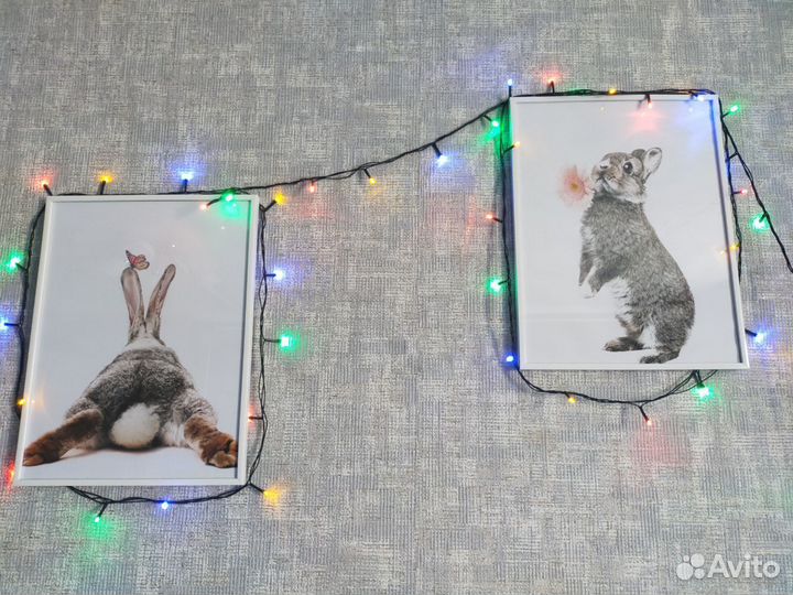 Постер картина 