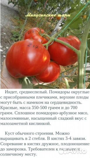 Семена томатов урожайные