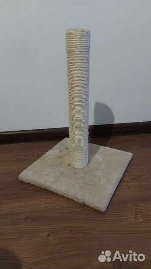 Когтеточка