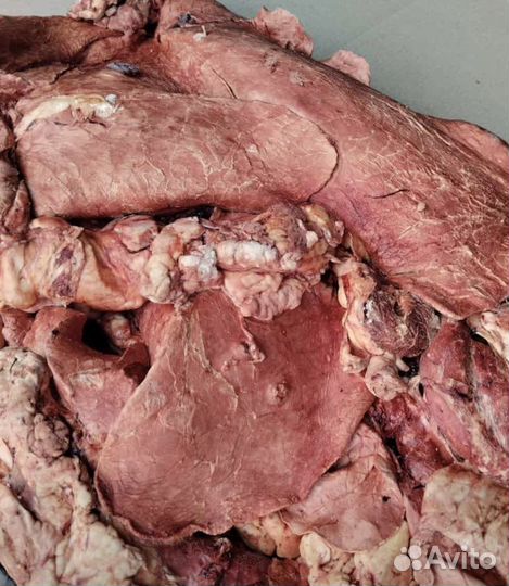 Обрезь говядина