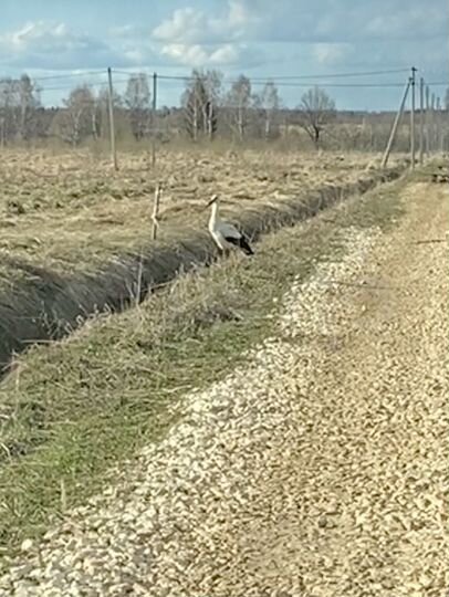 Участок 2,6 га (СНТ, ДНП)