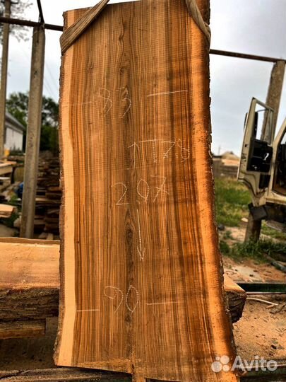 Слэб карагач