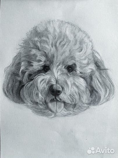 Портрет питомца