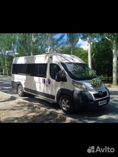 Аренда, заказ микроавтобуса