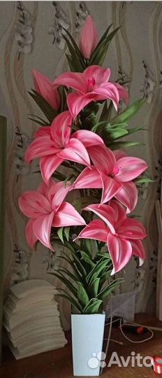 Интерьерные цветы