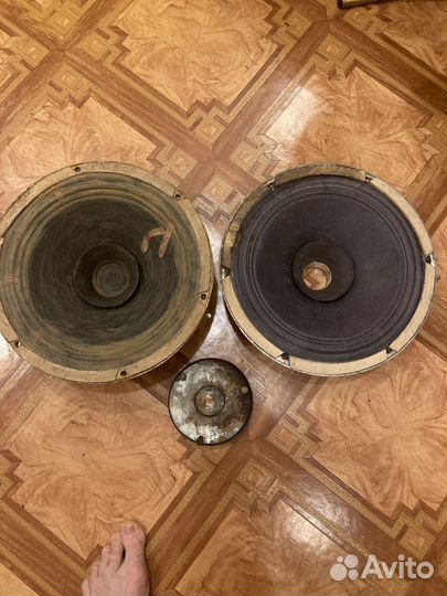 Динамики 30гд 301