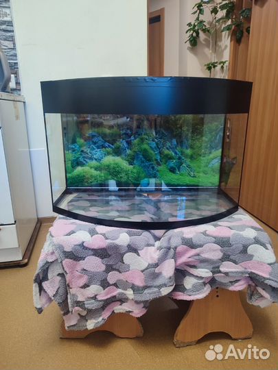 Аквариум понорамный