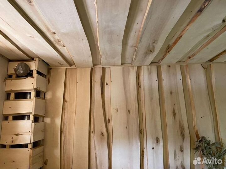 Липа необрезная