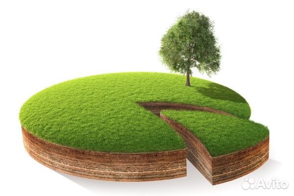 Выдел доли земель сельскохозяйственного назначения