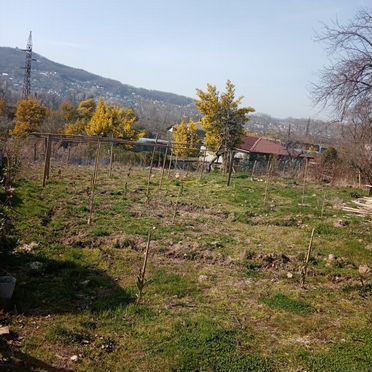 Участок 700 м² (Абхазия)