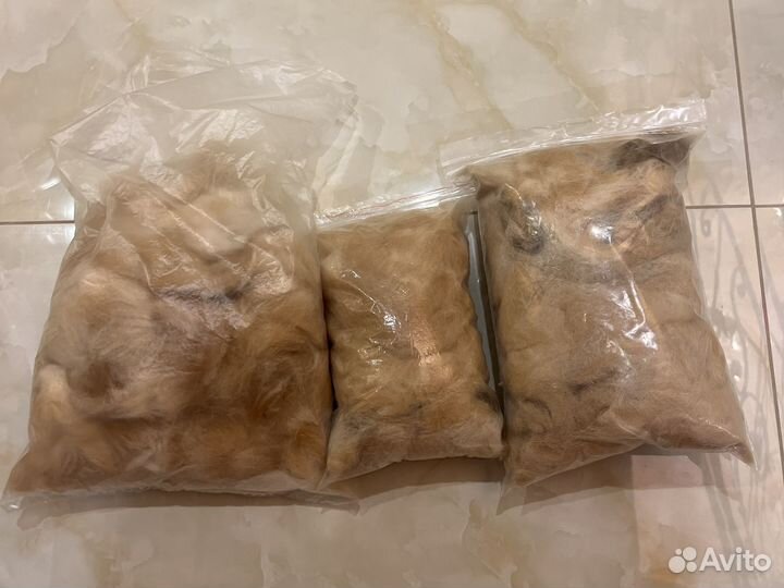 Шерсть собаки сиба ину