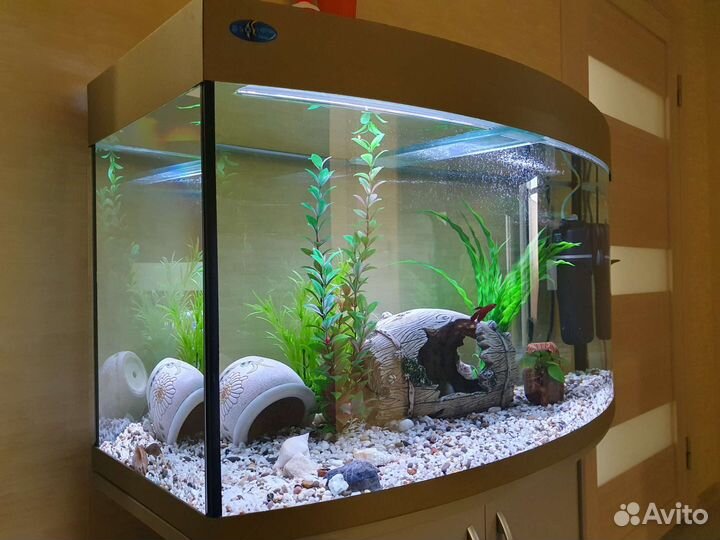 Аквариум 140л