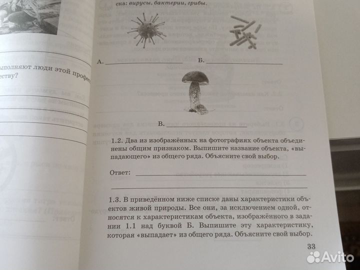 ВПР 5 класс