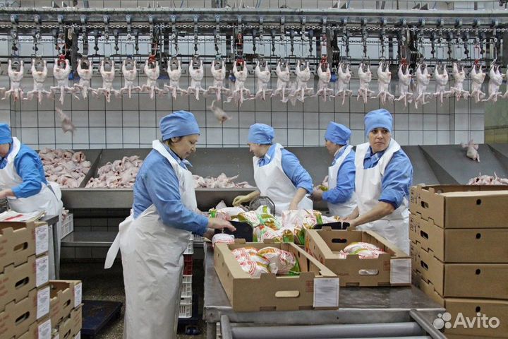 Вахта оператор линии без опыта РФ рб кз кир