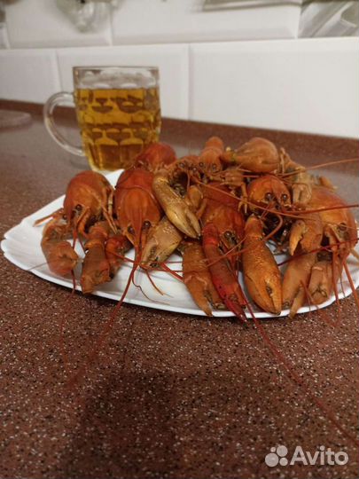 Австралийский рак