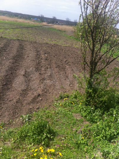 Дом 92,9 м² на участке 50 сот.