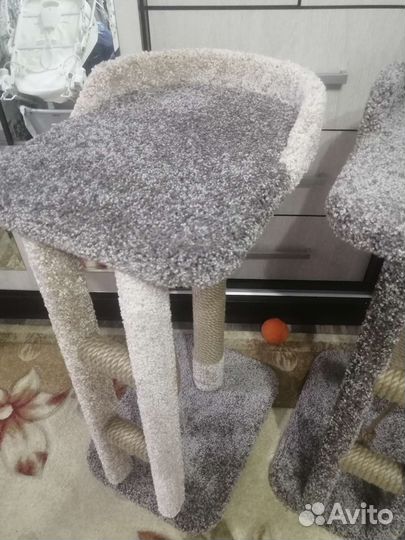 Когтеточка (новая)