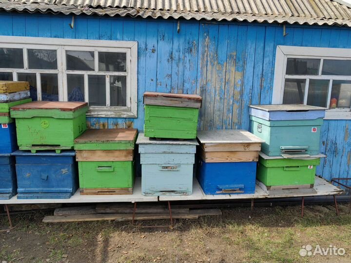 Улей для пчел бу