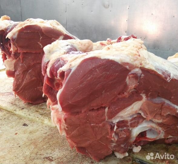 Мясо говядина